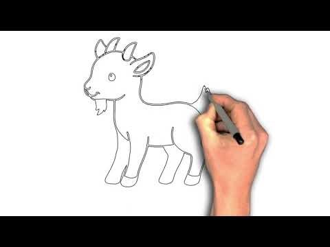 “Sketching a Kid: Step-by-Step Baby Goat Drawing”