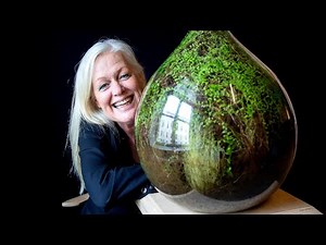 "Moss Terrariums: Tiny Worlds of Green Serenity"