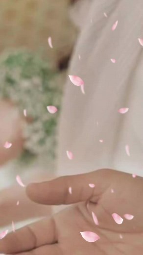 Understanding Islam: A Journey Through Faith and Culture