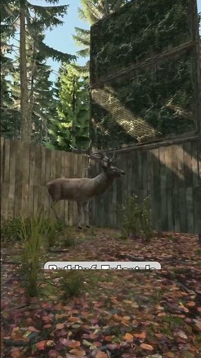 Vaniila Base Building #dayz #pvp #raid #pve