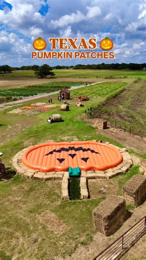 🎃🍂 Texas Pumpkin Patch Guide! 🍂🎃 (List below) Pumpkin patches all across Texas! Grab your boots, throw on your flannel, and get ready for some fall fun! 📸🌽✨ (Austin / San Antonio Areas) 🎃 @floatintx - New Braunfels, TX 🎃 @rockberry_ranch - Poteet, TX 🎃 @devine_acres_farm - Devine, TX 🎃 @sweetberryfarm - Marble Falls, TX 🎃 @sweeteatsfruitfarm - Georgetown, TX 🎃 @graff7aranch - Hondo, TX 🎃 @indianspringsranch - Travis County, TX 🎃 @texaspumpkinfest - Leander, TX 🎃 @jenschkeorchards 