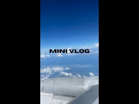 Our Life In New Zealand