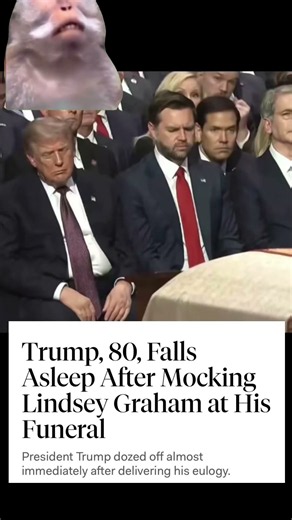 Trump sleeping at Lindsay's funeral #fdt #fafo #fafo #maga #liberal #trump #politics #america #usa