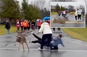 Grandma got run over by a reindeer — and it happened at a NY Thanksgiving turkey trot: ‘Song come to life’