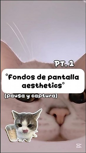 Fondos de pantalla aesthetics!! 🌷🦔💗💗