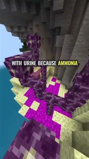 History’s Weirdest Careers 🤯