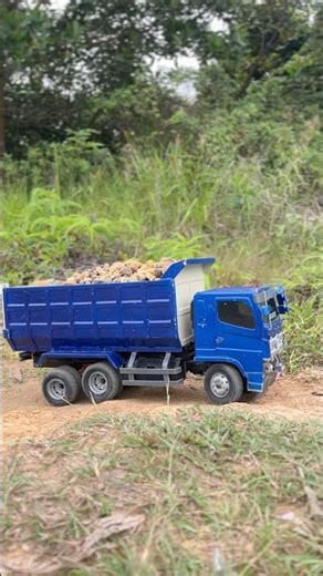 Mobil truk remot control