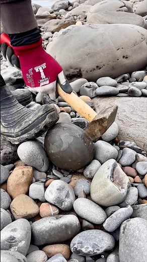 Searching through limestone and shale on a remote beach for crystal and fossils 🏝️