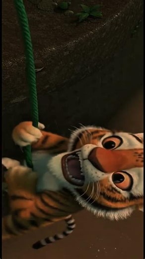 Monkey and tiger adventure begin