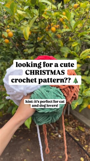 ashley on Instagram: "the cutest christmas crochet pattern for cat and dog lovers! 🎄 which one is your favorite?? this gingerbread cat and dog pattern make the most adorable pair! they are perfect for christmas and match so well with my gingerbread man and woman pattern that I also have up on my shop :) these gingerbreads work up pretty quick and they make the cutest christmas decor! pattern: @aqcrochets (gingerbread cat and dog)"