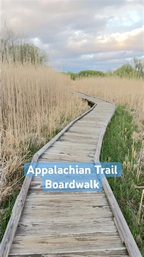 Appalachian Trail Boardwalk 🌿 The Most Beautiful Easy Hike in New Jersey