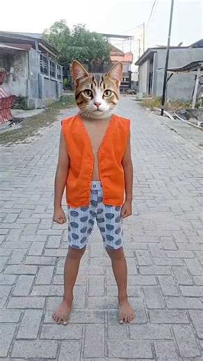 Kucing lucu melompat #cat #funny #cute #imut #trendingshorts