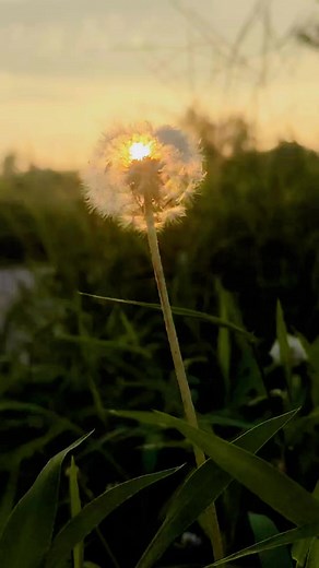 3.7K views · 18 reactions | How many of these you have experienced? #powerfulwomen #womenfacts #bodyfacts #SoulfulVibes #relaxing | Fascinating Facts | Facebook