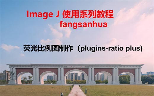 59.荧光比例图制作（plugins-ratio plus)