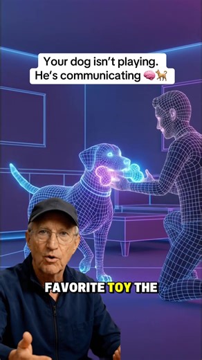 Understanding Your Dog's Communication Through Play