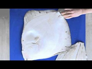 Filleting Turbot - Cross Cut Fillet