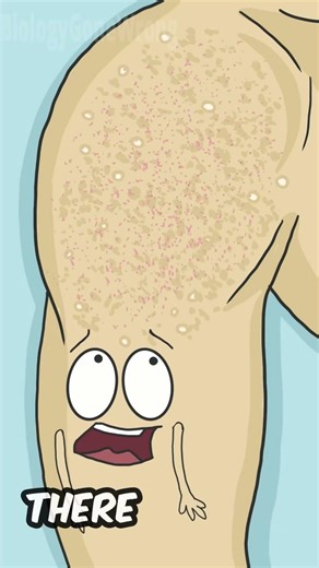 Why do my arms have those tiny bumps? #shorts #funny #animation