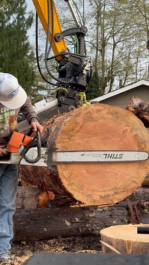Best saw ever built runs again as well @westcoastsaw 461. #ra_treeservice #westcoastsaw #logger #treeservice #treeindustry #logging #customdeluxe #stihl #prosaw #chainsaw #hotsaw #worksaw #timberfaller #treeservices #tree #trees #log #log #dougfir #timberfaller #timber #faller #cutter #cutting #clearing #firewood #stormwork | R&A Tree Service, LLC.