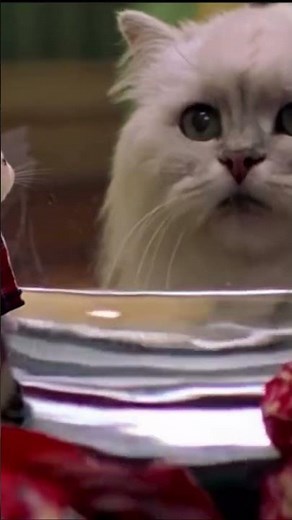 🎬«Стюарт Литтл» (Stuart Little, 1999)#кино #фильм #чтопосмотреть #обзор #любовь