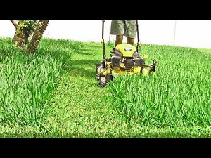 Perfect mulching in THICK St Augustine grass Kavli Finisha blade