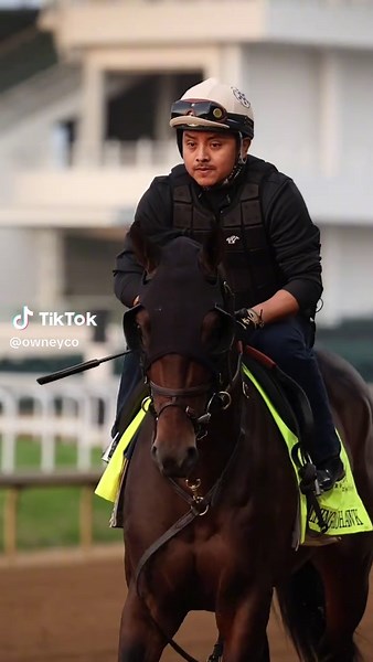 Flying Mohawk: Kentucky Derby Contender Training Insights