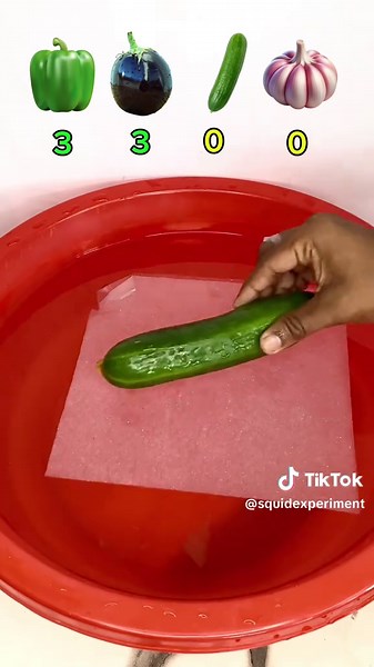 Squad Experiment on TikTok