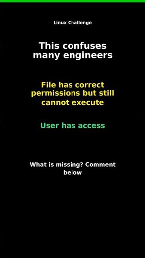Linux Challenge: Execution Issue