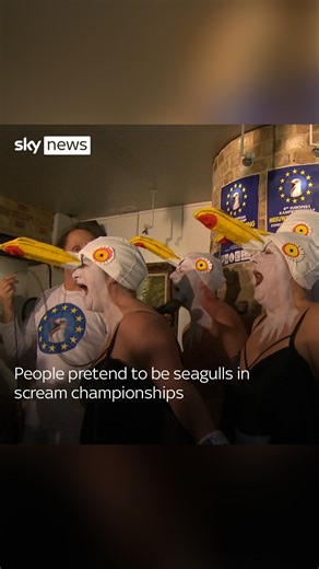2.5M views · 984 reactions |  A competition to sound like a seagull draws some extraordinary talent in Belgium. #seagull #competition #belgium | Sky News | Facebook