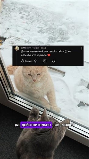 Cat House 2.0. Increase living space #cat #wantanddo