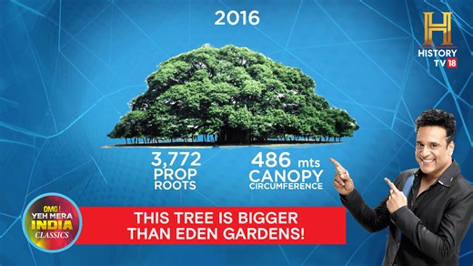 5K views · 52 reactions | From men with superhuman strength to...