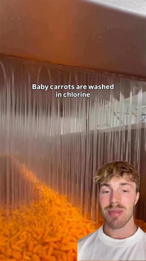 BABY CARROTS EXPOSED! 🥕😷