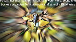 Focus, increase concentration, calm your mind, sound and background noise for homework and school - 