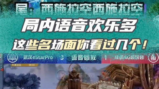 你不能错过的选手局内语音