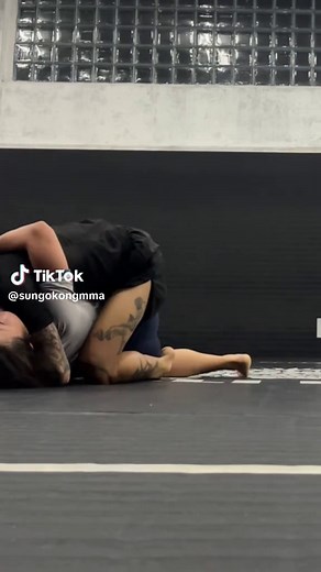 Grappling Techniques: Mount Position Explained