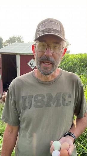 🐓 Why Every Homestead Needs Chickens