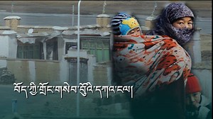 5.8K views · 86 reactions |...