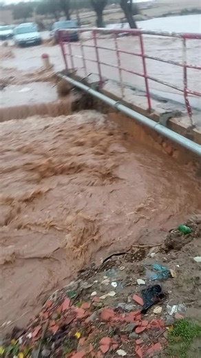 الشعب الصيني: مواقف مضحكة لا تنتهي