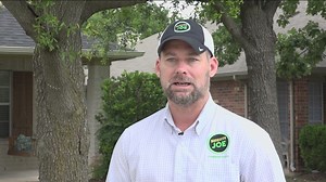 Pest control company shares best practices to prevent mosquitoes