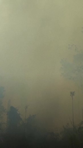 5.7K views · 140 reactions | World leaders, activists, experts and many more are in Brazil for this year's annual United Nations climate talks, known as COP30. Host city Belem is on the doorstep of the Amazon rainforest, and organizers are counting on that location to remind negotiators what's at stake as the world warms dangerously. | AP | Facebook