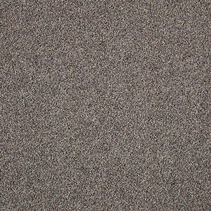 Check The Home Depot's Q&A Before Buying: Lifeproof with Petproof Technology Playful Moments I - Night Phantom - Gray 35 oz. Triexta Texture Carpet - Installation Required