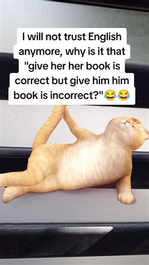 Understanding English Grammar Mistakes with Humor