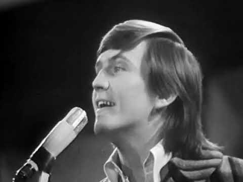 Wayne Fontana - The Game Of Love (1966)