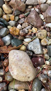 More of my collection #rocks #rockhounding | JC Outdoor Fever
