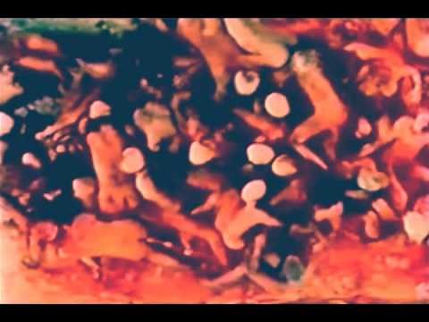 Memoryhouse - "Sleep Patterns"