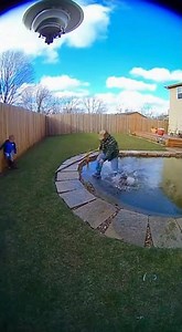 CCTV Footage: Muskrat Attacks Child Near Pond, Homeowner Defends with Stick — #MuskratAttack