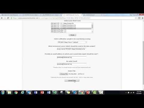 HealthMeasures Scoring Service - Brief Instructions