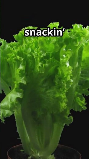 You Won't Believe How QUICKLY You Can Grow Edible Plants