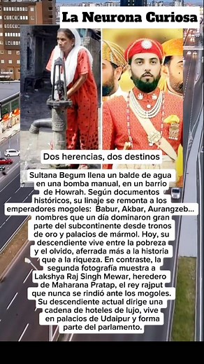 Dos herencias opuestas: una sumida en el olvido, la otra aún brillando con poder y fortuna... | La Neurona Curiosa