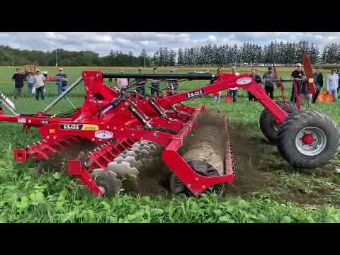 ILGI ARAGON Disc Demo