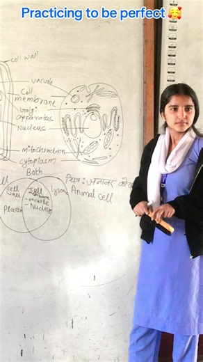 Peer Teaching Tips for Perfect Practice